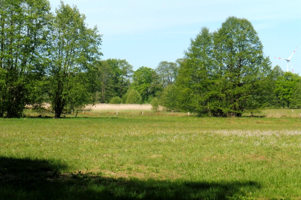 Erdgarten-Lauerwiesen - 22