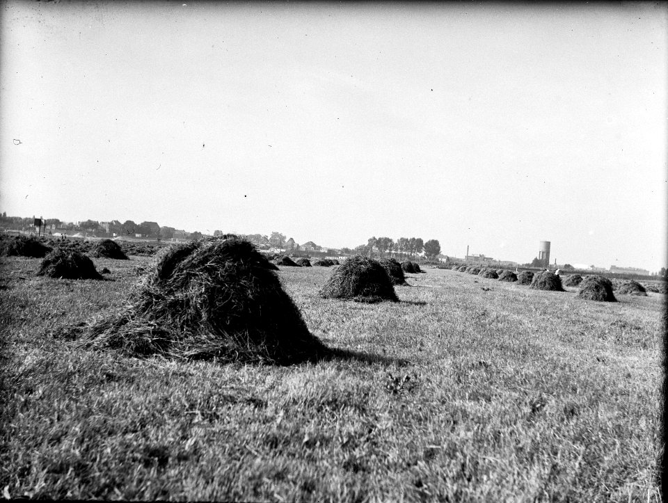 Egaliseren, uiterwaarden, Bestanddeelnr 192-0181
