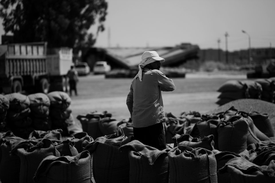Ezidi workers at the barley and wheat depot in Shingal (Sinjar) packing grains into sacks in summer of 2019 18