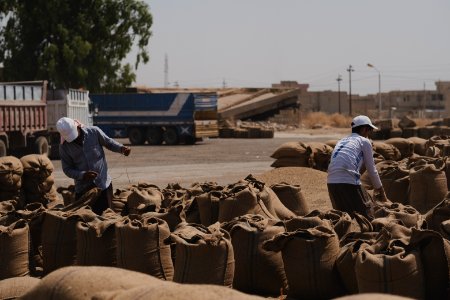 Ezidi workers and administrators packing grain in summer of 2019 at the grain processing center in Shingal 01