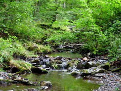 Erkensruhr near Hirschrott 03