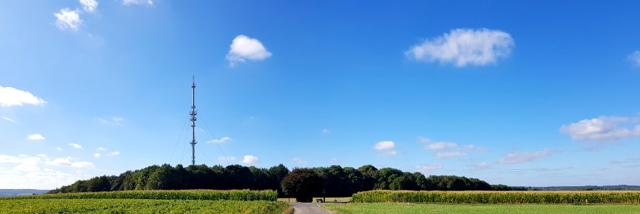 Eys-Eyserbos op de Eyserberg (7)