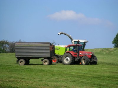 Erntemaschinen in Rammenau 06