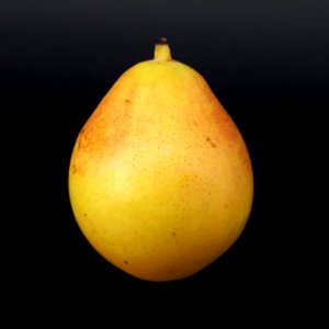 Ercolina pear 2017 A2