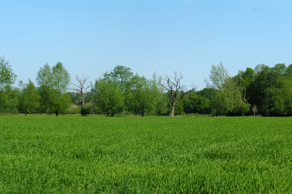 Erdgarten-Lauerwiesen - 24
