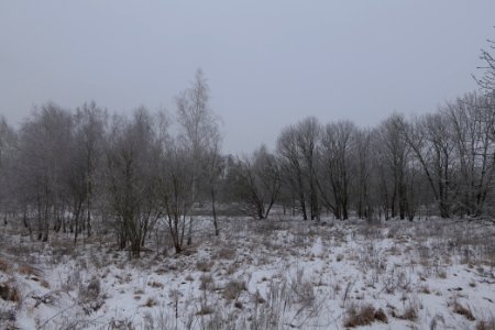 Egelpfuhl Park Dallgow-Döberitz with snow 2021-02-14 04