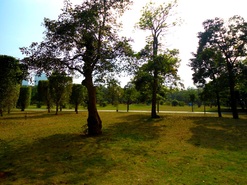 Evergreen Park landscape 01