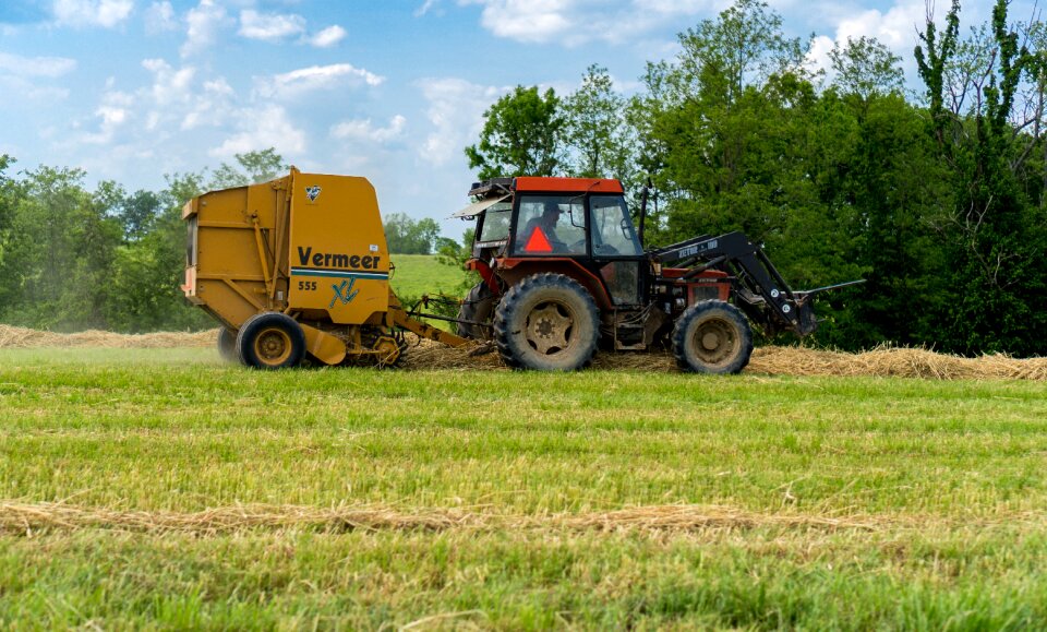 Hay summer work
