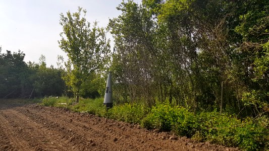 Eijsden-Moelingen-Grenspaal 42 (BE-NL) (1)