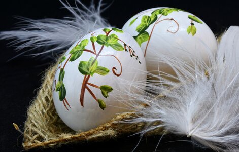 Easter eggs painted feather