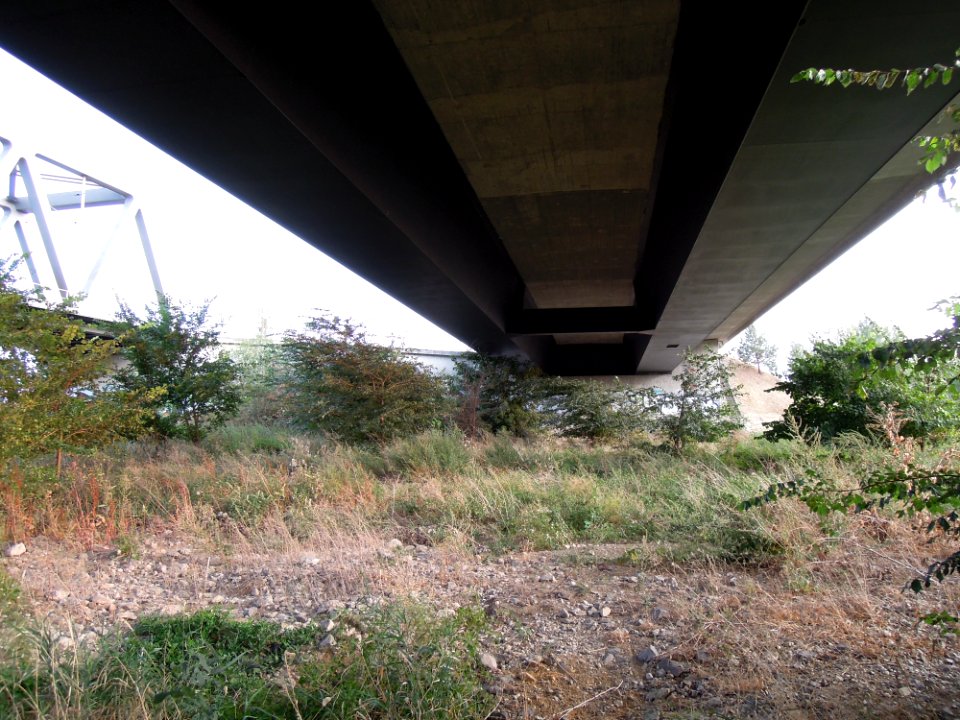 Elbebrücken südlich Wittenberg -Untersicht mit Hohlkästen der Straßenbrücke am südlichen Brückenkopf- Ende August 2018a