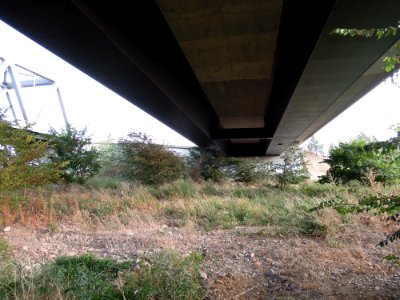 Elbebrücken südlich Wittenberg -Untersicht mit Hohlkästen der Straßenbrücke am südlichen Brückenkopf- Ende August 2018a