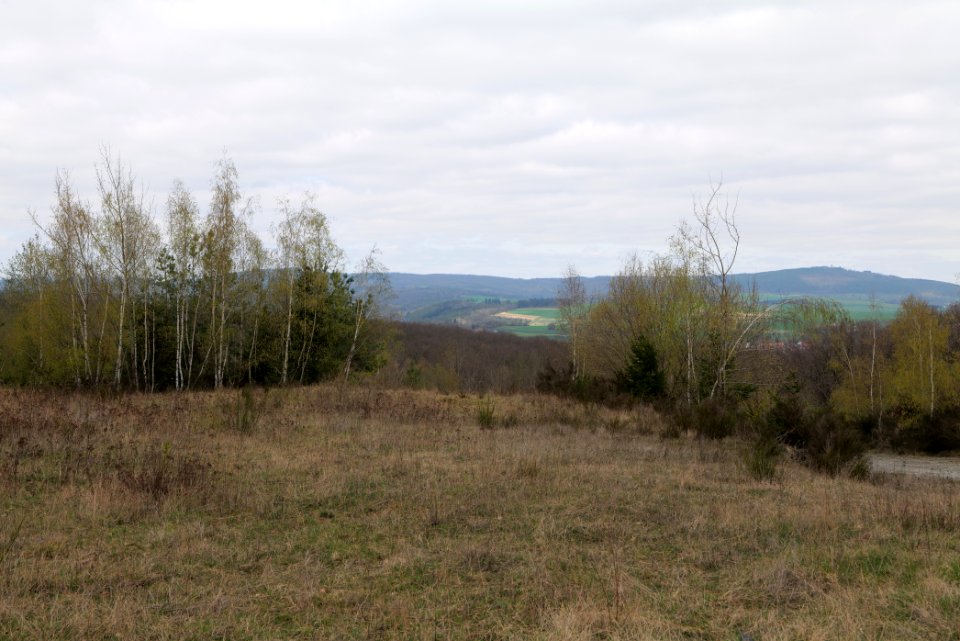 Eichkopf bei Ober-Mörlen 2021-04-02 51