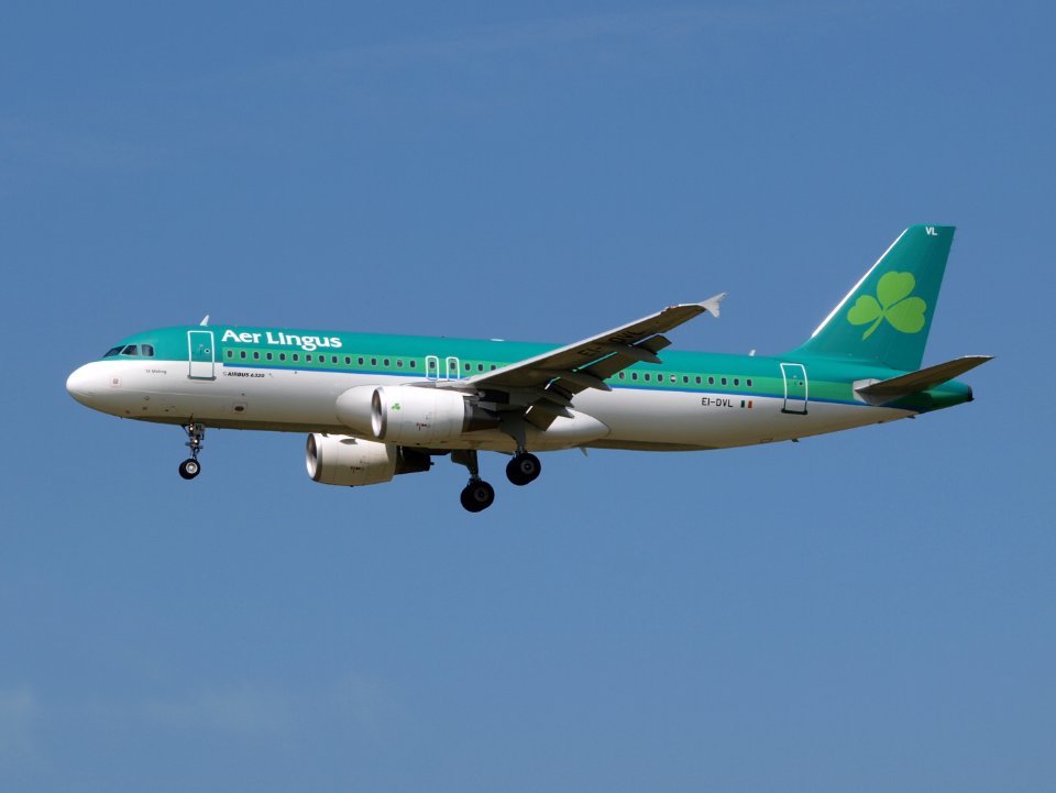 EI-DVL Aer Lingus Airbus A320-214 - cn 4678 pic2
