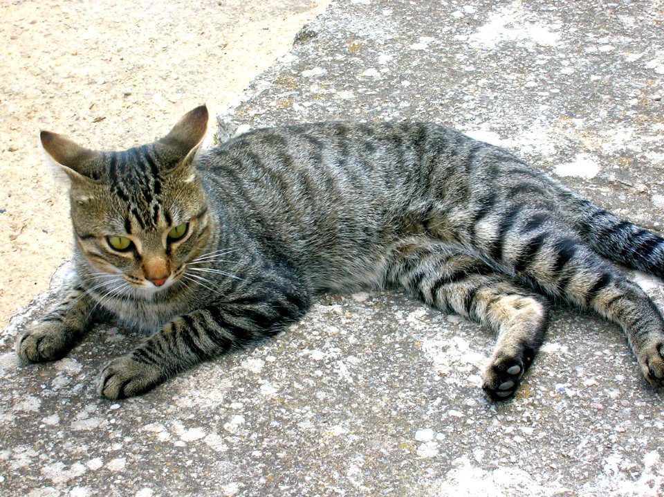 Pradanos del Tozo 06