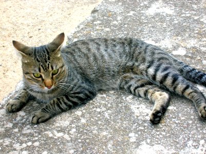 Pradanos del Tozo 06