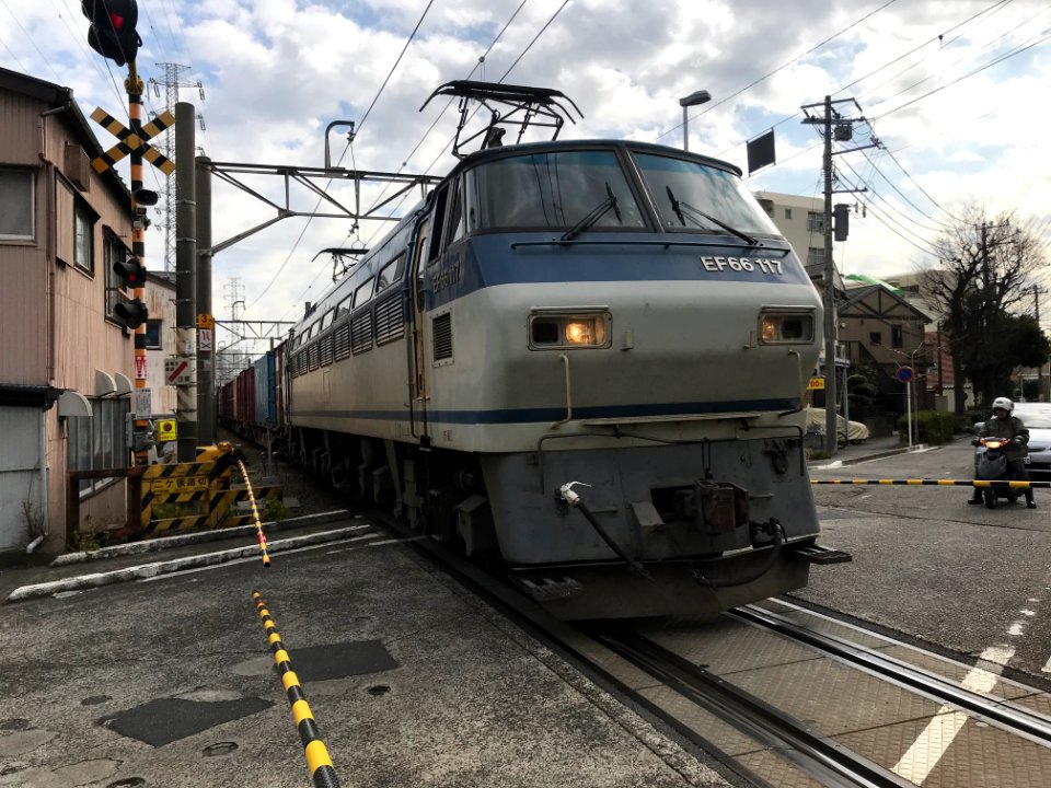 EF66 117 running Shitte short cult