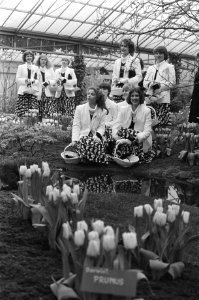 Presentatie Haarlemse bloemenmeisjes ivm opening Keukenhof de bloemenmeisjes, Bestanddeelnr 930-7469