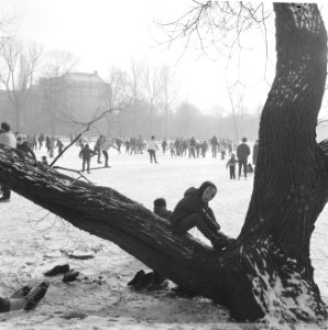 Eenden in Vondelpark gevoerd door bezoekers, schaatsen op vijver in het Vondelpa, Bestanddeelnr 918-6933