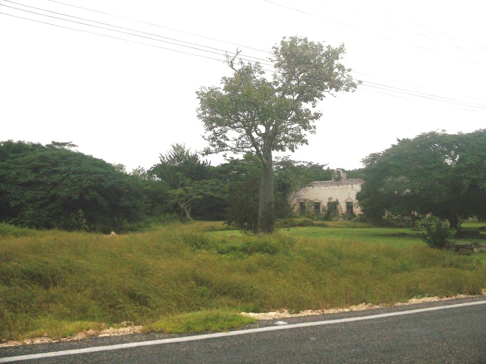 Polabán, Yucatán (03)