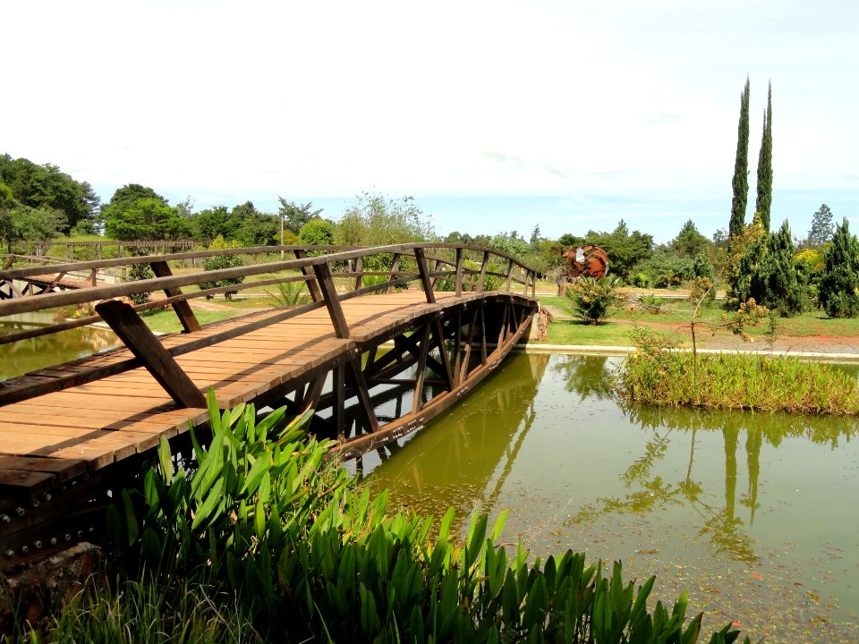 Pond bridge - Jardim Botânico de Brasília - DSC09764
