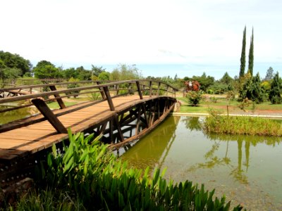 Pond bridge - Jardim Botânico de Brasília - DSC09764