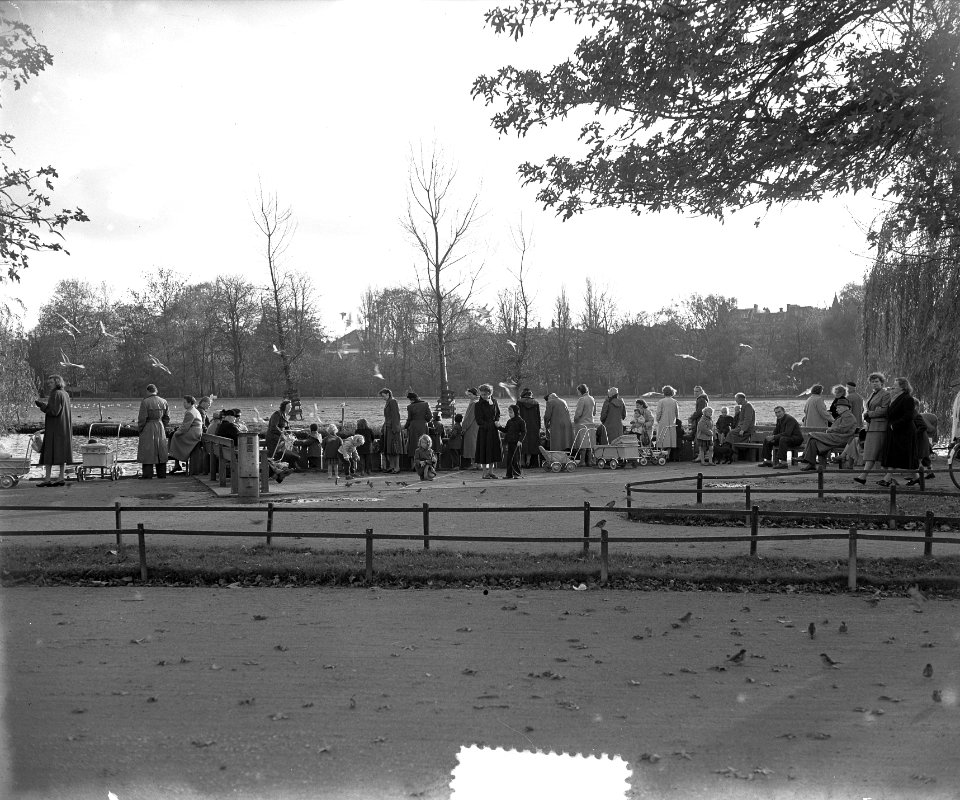 Zomerstemming in november in Vondelpark, Bestanddeelnr 906-0957