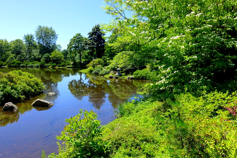 Pond - Asticou Azalea Garden - Northeast Harbor, Maine - DSC03470