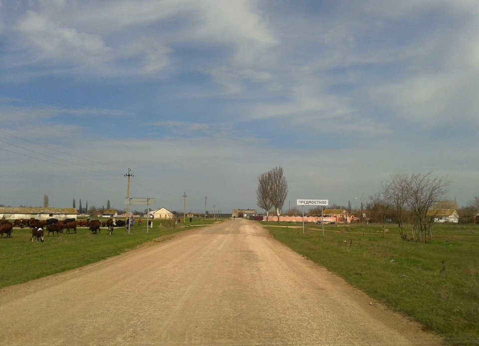 Predmostnoe 1