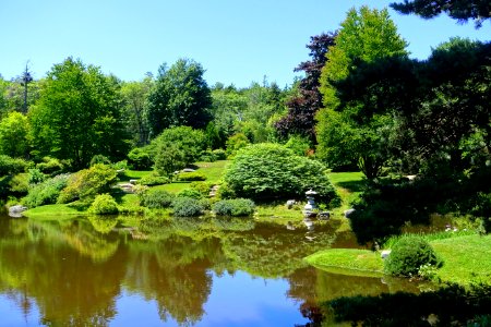 Pond - Asticou Azalea Garden - Northeast Harbor, Maine - DSC03640