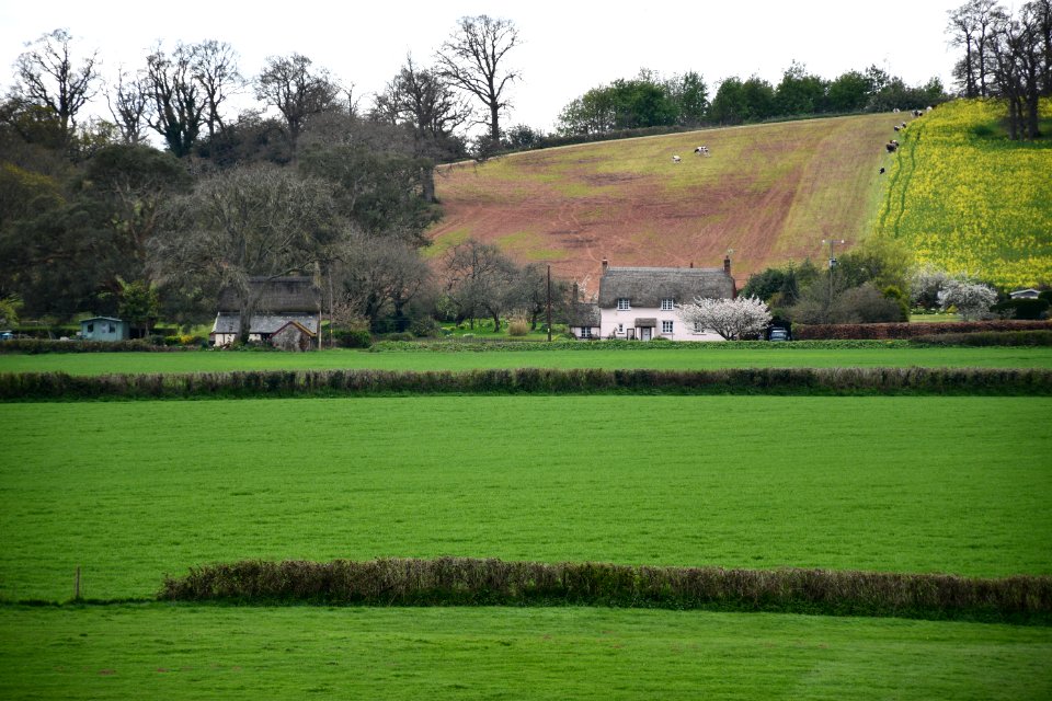 Powderham 2021-04-08 IMG 04