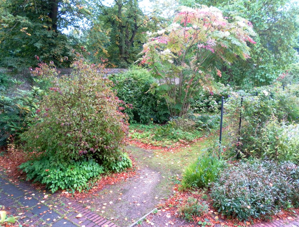 Preston Manor Gardens, Preston Drove, Preston Village, Brighton (September 2011) (5)