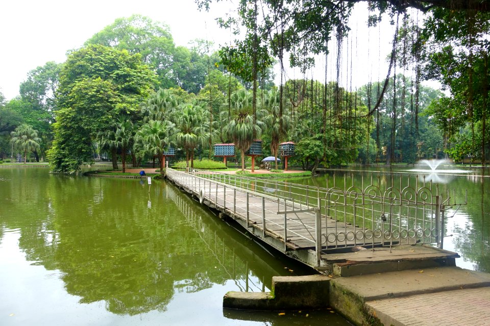 Pond - Hanoi Botanical Garden - Hanoi, Vietnam - DSC03657