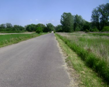 Poland. Gmina Konstancin-Jeziorna. Dębówka 003