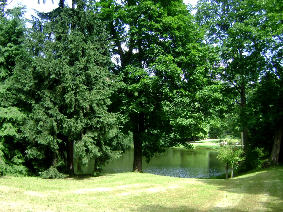 Poland. Warsaw. Śródmieście. Royal Baths Park 039