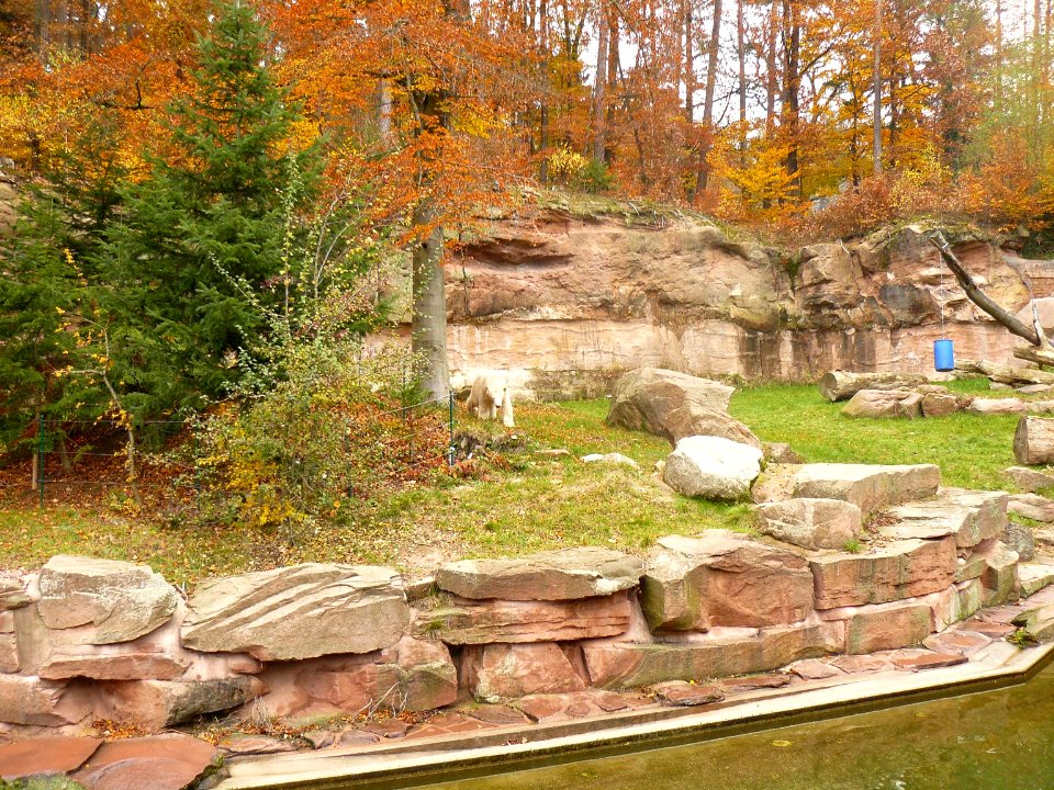 Polar bear enclosure Nürnberg