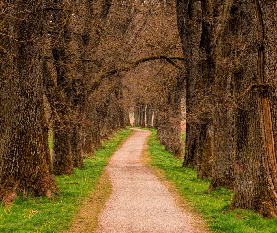Road away path