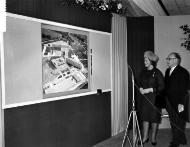 Prinses Irene opent Prinses Irene Ziekenhuis Almelo, Bestanddeelnr 911-7317