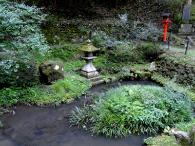 Pond - Kurama-dera - DSC06765
