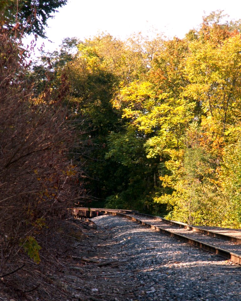 Railroad, Seldom Seen, 2020-10-09, 02
