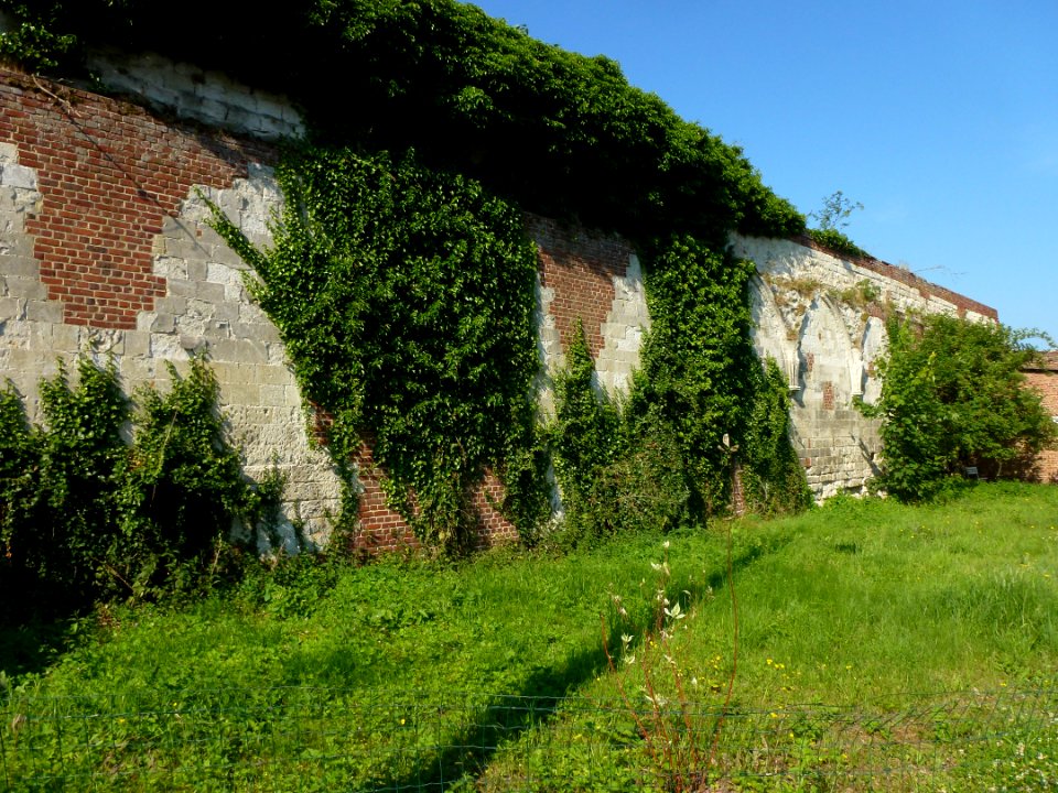 Raismes (Nord, Fr) vestiges de l'abbaye de Vicoigne 02