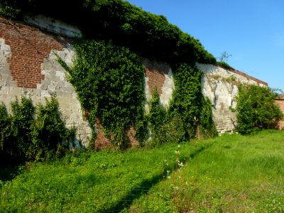 Raismes (Nord, Fr) vestiges de l'abbaye de Vicoigne 02
