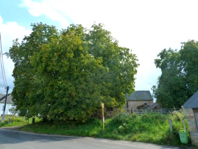 Raeren-Knoppenburg (2)