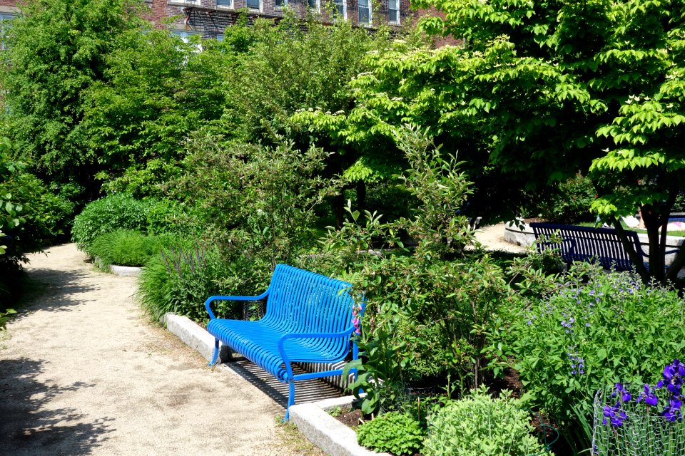 Ramler Park - Boston, MA - DSC06987