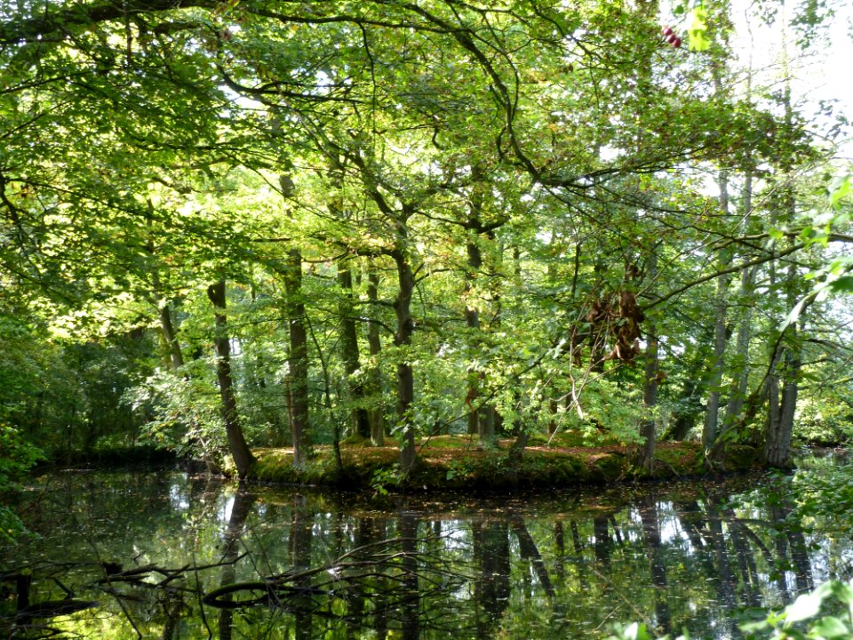 Raeren-Knoppenburg (17)