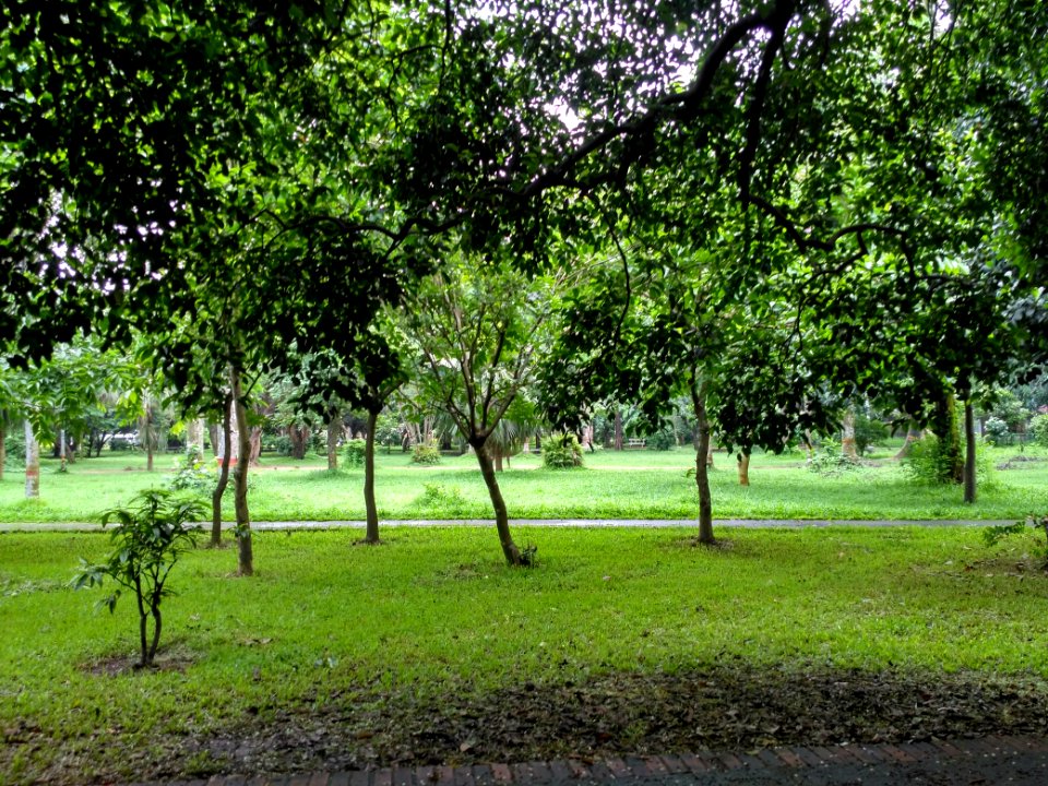 Ramna Park, Dhaka 2