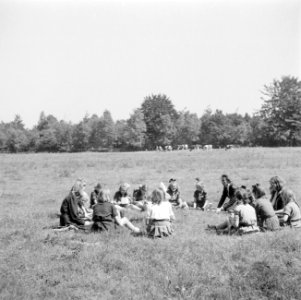 Prinses Beatrix met andere padvinders in de tuin van het paleis, Bestanddeelnr 255-7808