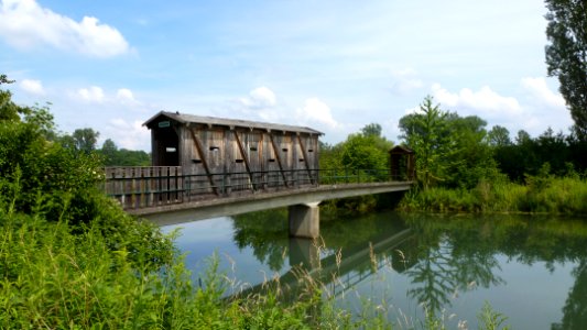 Réserve naturelle du Rohrschollen (Strasbourg) 6