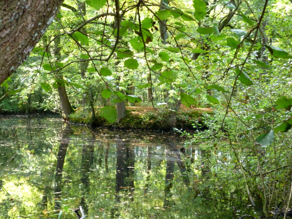 Raeren-Knoppenburg (16)