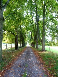 Raeren-Knoppenburg (4)